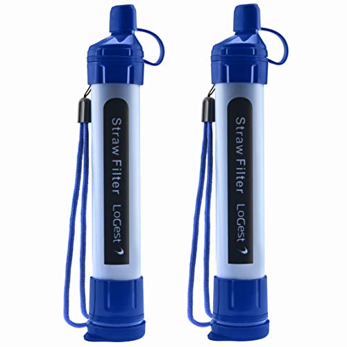 Portable water filter