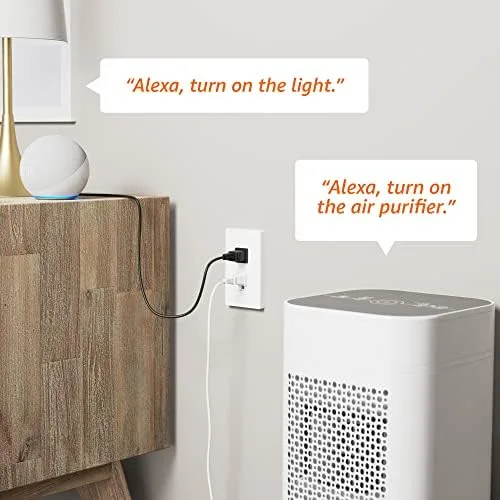 Amazon Basics Smart In-Wall Outlet with 2 Individually Controlled Outlets, - Travel With Glen