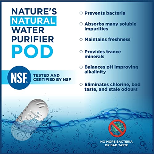 StayPure- 250 Gallon Portable Water Filter, Perfect for Travel, Camping, - Travel With Glen