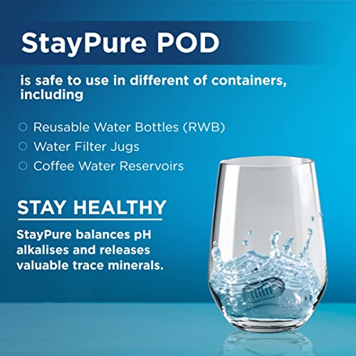 StayPure- 250 Gallon Portable Water Filter, Perfect for Travel, Camping, - Travel With Glen