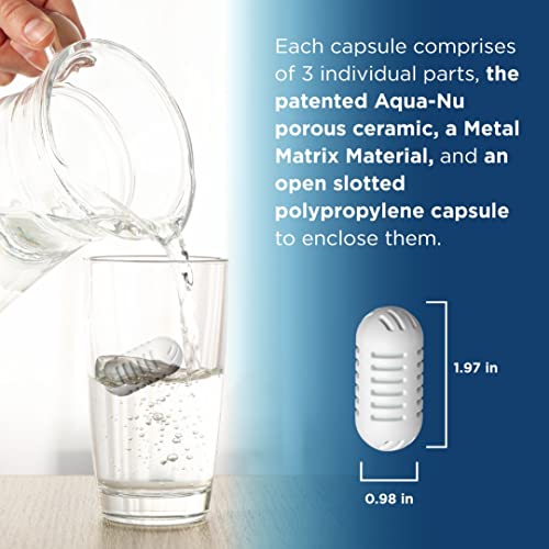 StayPure- 250 Gallon Portable Water Filter, Perfect for Travel, Camping, - Travel With Glen