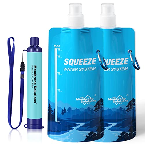 Portable water filter