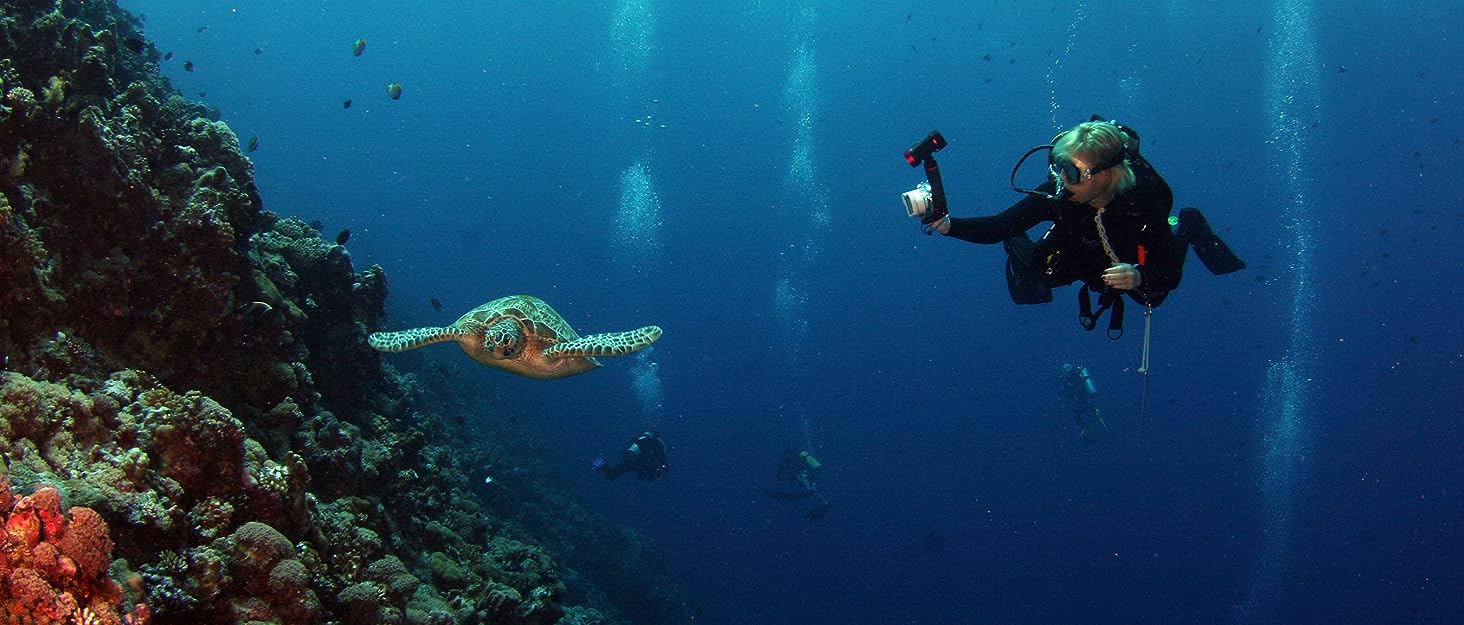 Waterproof Underwater Snorkeling Diving Phone Case for iPhone 11/12/13/14 Pro - Travel With Glen