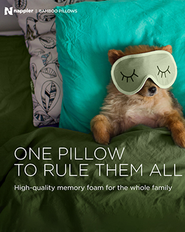 Nappler Camping Pillow - Travel Pillow -Backpacking, Airplane, Small Pillow - Travel With Glen