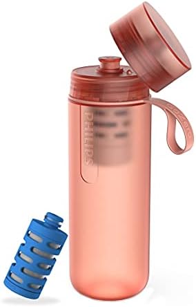 Portable water filter