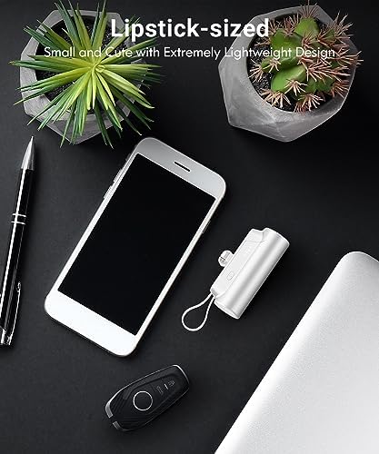 Portable-Charger-Power-Bank - 8000mAh Small Portable Phone Charger 5V3.1A Fast Charger - Travel With Glen