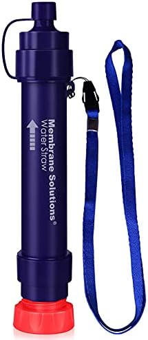 Portable water filter