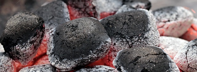 Achieve Amazing Results with this Coconut Charcoal for Grilling and Smoking