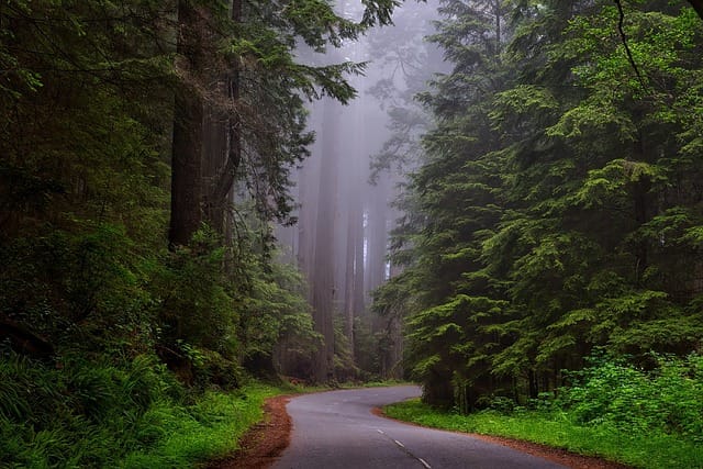 National Parks Travel Guide