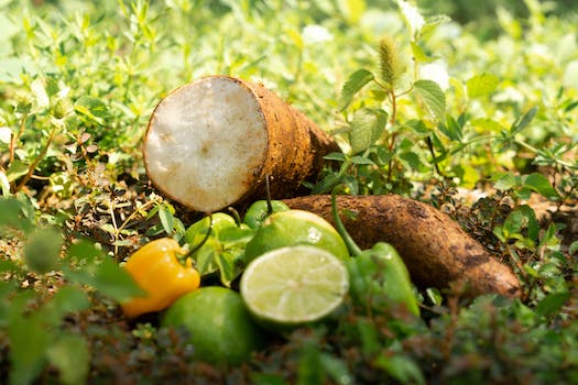 Yuca con cebolla