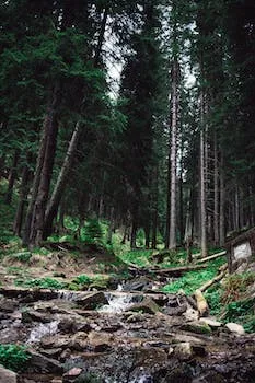 Wilderness exploration - Travel With Glen Wilderness exploration