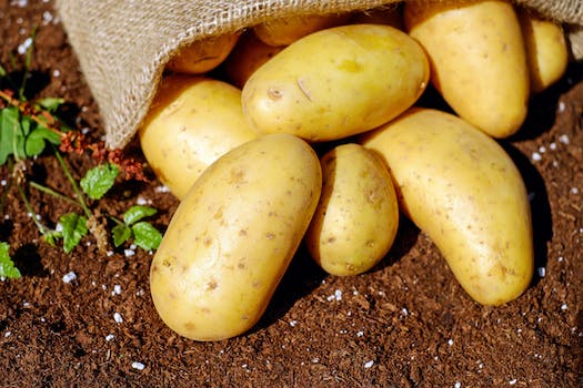 Cooking Time for Boiling Potatoes: Perfect for Mashing, Smashing, and Salad