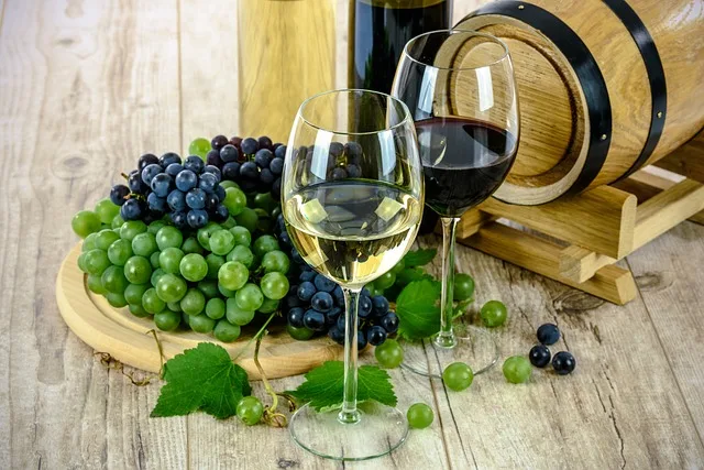 Top 10 Wine Hotels in South Africa