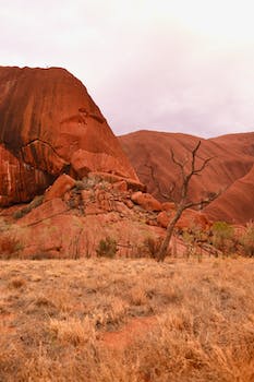 Uluru Travel Guide