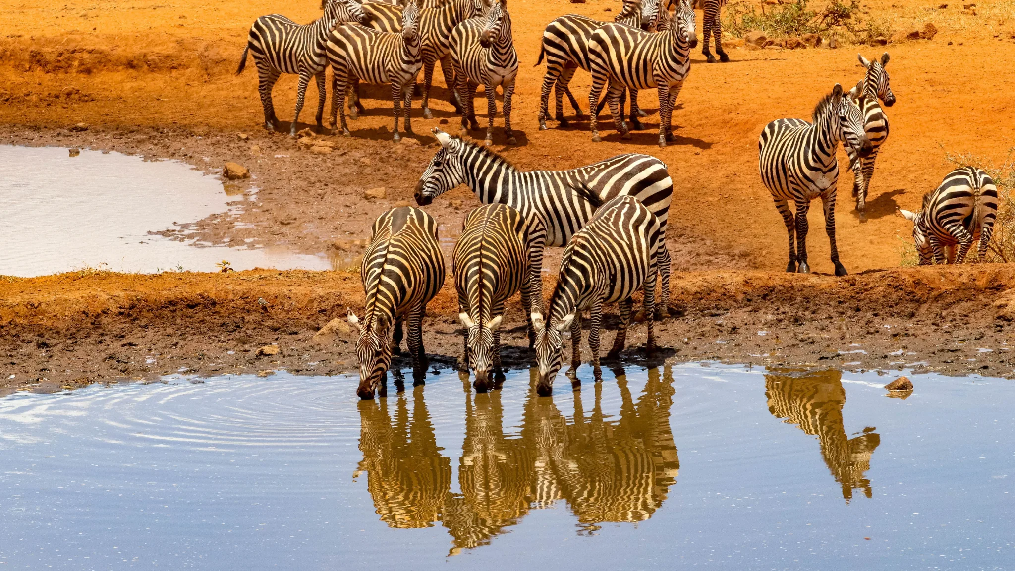 Africa Travel With Glen(3)