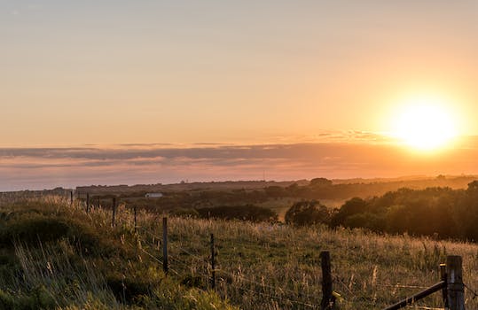 Discover Willa Cather's Nebraska Hometown and Immerse in Her World