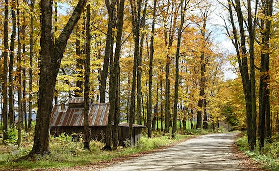 Hikers Avoiding Vermont on the Appalachian Trail After Floods