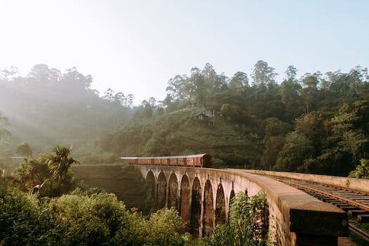 Sri Lanka Travel Guide