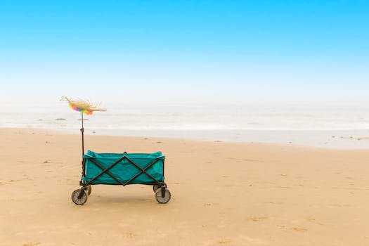 Top 8 Beach Wagons and Carts for 2023