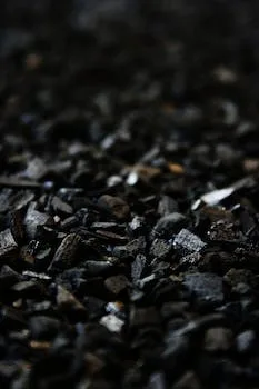 Achieve Amazing Results with this Coconut Charcoal for Grilling and Smoking
