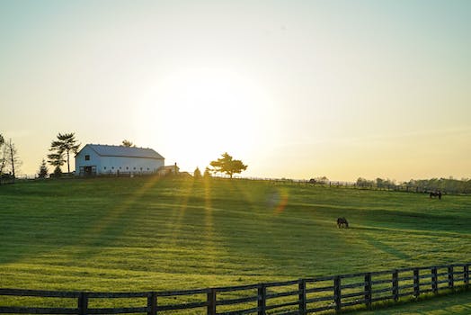 The Impact of the Kentucky Cave Wars on the State's Tourism Industry