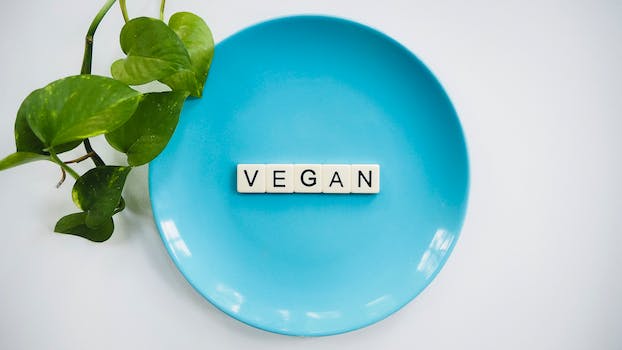 Exploring the World of Vegan-Exclusive Dating