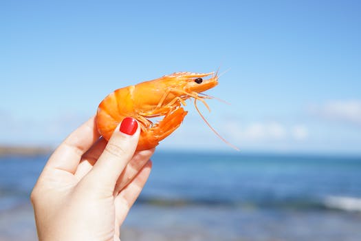 Achieving Juicy and Tender Shrimp: A Cooking Guide