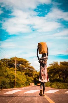 UNESCO's Vital Aid to African Biodiversity during Emergencies