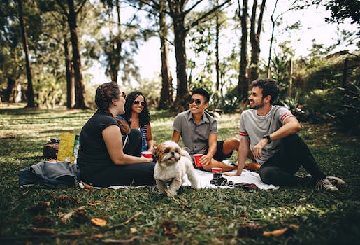 Perfect Pairings for a Delightful Picnic