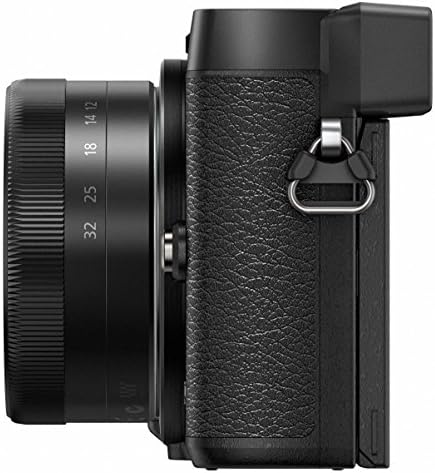 Panasonic LUMIX GX85 4K Digital Camera, 12-32mm and 45-150mm Lens - Travel With Glen