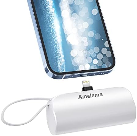 Portable charger