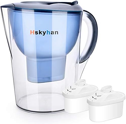 Portable water filter