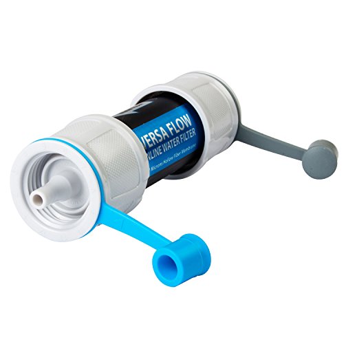 Portable water filter