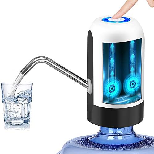 Portable water filter