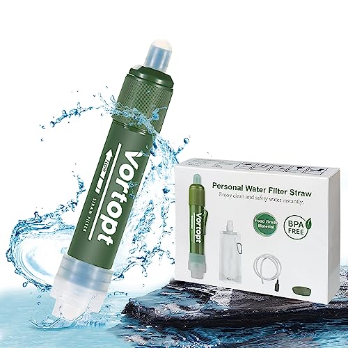 Portable water filter