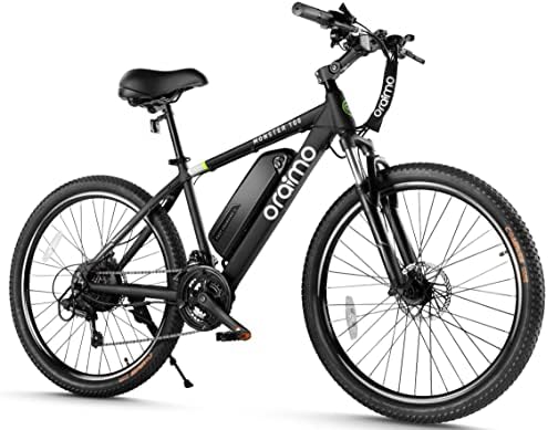 Electric bicycle