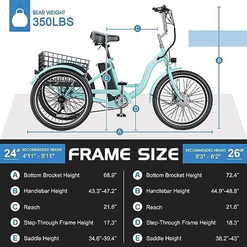 Electric Tricycle for Adults