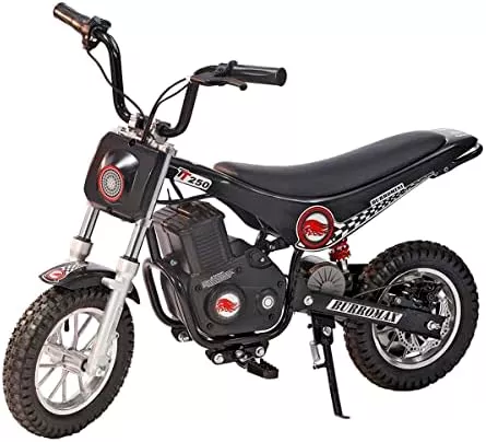 Burromax TT250, 250w 24v, 2 Speeds, 14 Mph, Up to - Travel With Glen Electric motorbike