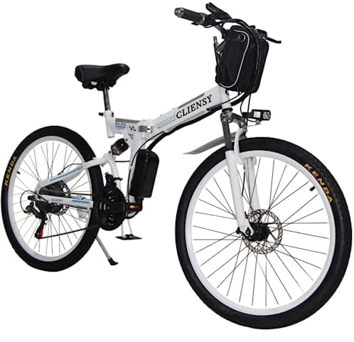 Electric bicycle