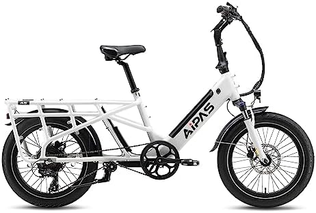 Electric cargo bike