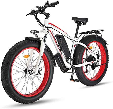 Electric mountain bike