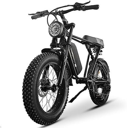 Electric hybrid bike