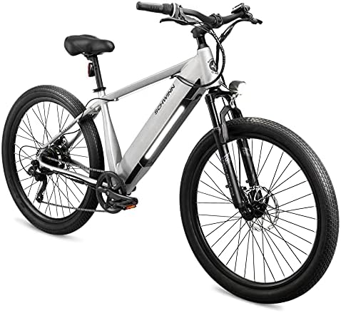 Electric hybrid bike