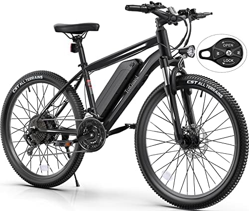 electric bike