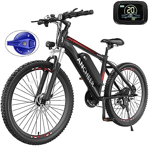 Electric mountain bike