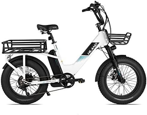 Electric cargo bike