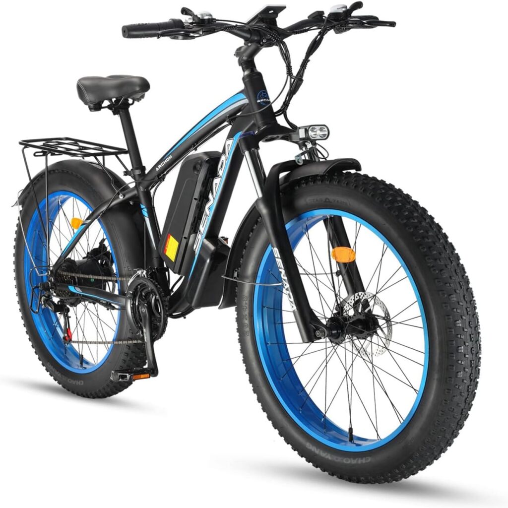 Fat Tire Electric Bike