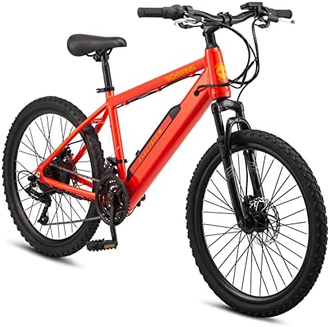 Electric mountain bike