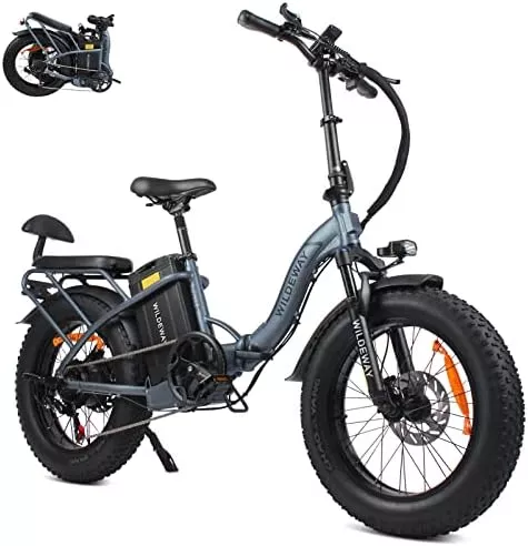 32Ah High-Capacity Battery FW11 Electric Bike 48V 750W Fat Tire - Travel With Glen Electric urban bike