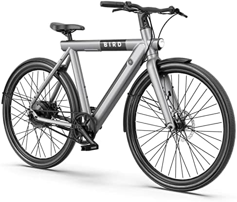 Electric hybrid bike